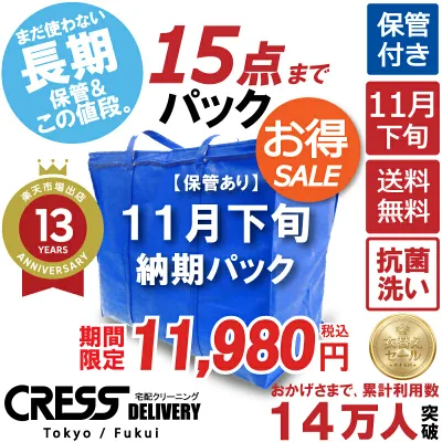 クリーニング 【SALE 今すぐ使える!1,000円OFFクーポン付き】 \圧倒的なコスパ最強価格!衣替え限定セール!/ クリーニング 【楽天1位】 【送料無料】 【11月下旬パック15点】宅配クリーニング 保管 ダウン 宅配クリーニング 詰め放題 保管 1000