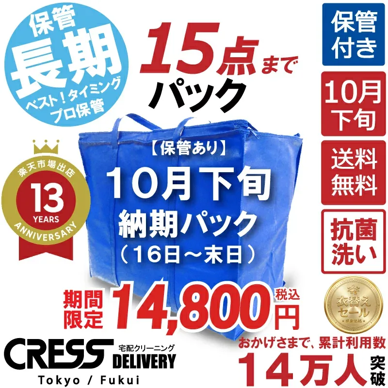 クリーニング 【SALE 今すぐ使える!2,000円OFFクーポン付き】 \圧倒的なコスパ最強価格!衣替え限定セール!/ 【楽天1位】 【送料無料】 【10月下旬パック・15点】 宅配クリーニング 保管 宅配 クリーニング 詰め放題 ダウン制限なし 保管付き 1000