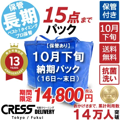 クリーニング 【SALE 今すぐ使える!2,000円OFFクーポン付き】 \圧倒的なコスパ最強価格!衣替え限定セール!/ 【楽天1位】 【送料無料】 【10月下旬パック・15点】 宅配クリーニング 保管 宅配 クリーニング 詰め放題 ダウン制限なし 保管付き 1000