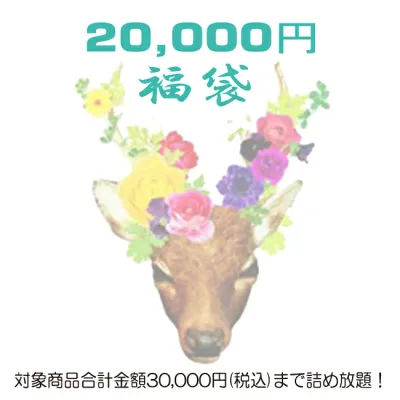 ☆数量限定☆【福袋チケット2万円】税込30,000円までの対象商品が詰め放題(レディース)【送料無料】【smtb-k】【w4】(返品・交換・ギフト包装不可)