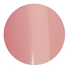 LEAFGEL PREMIUM ポリッシュタイプ P10 モンベベ