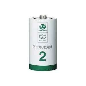 (まとめ)ジョインテックス アルカリ乾電池III 単2×10本 N212J-10P 【×3セット】