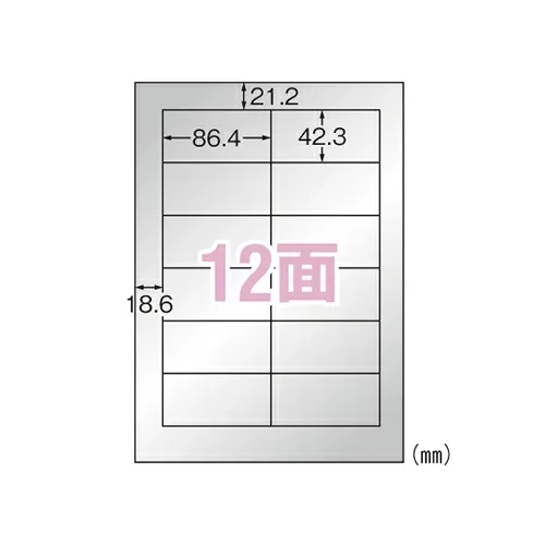 エーワン 屋外でも使えるラベル シルバーツヤ消し レーザー A4 12面 5シート 31057