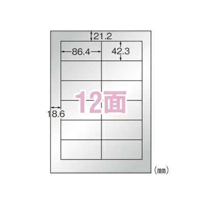 エーワン 屋外でも使えるラベル シルバーツヤ消し レーザー A4 12面 5シート 31057