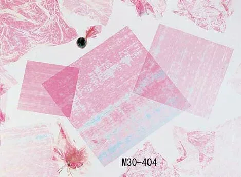 虹の紙 (200枚入) M30-404 (QNZ02)