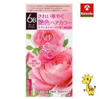 カネボウ化粧品 エビータ トリートメントヘアカラー 6B ダークブラウン 90g 【医薬部外品】