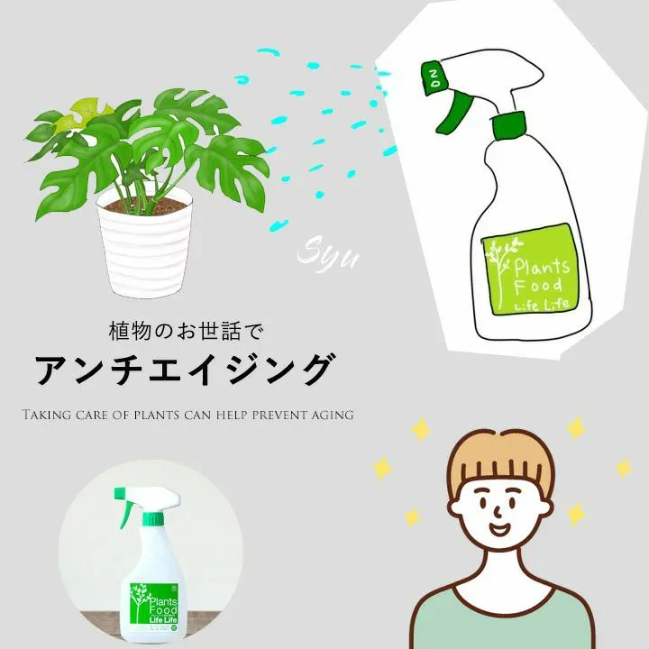 【観葉植物の栄養剤】プランツフード500ml肥料成分含有の液体活力剤。成長促進養分だけでなく、葉水(霧吹き)で防虫効果も期待!観葉植物 栄養 肥料 元気 長持ち お世話 簡単 手軽 スプレー スプレー式
