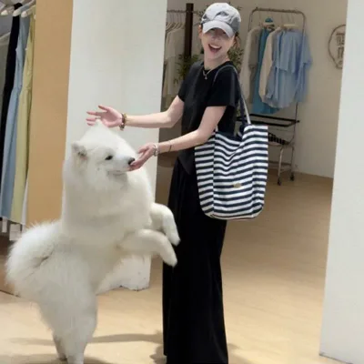 レディース ワイドパンツ セット トップス ロングパンツ 気質 通勤 都市風 アクネロン 95% グレー ブラック ロング丈 超長袖 フレアスリーブ ゆったり シルエット 軽量 伸縮性 吸湿速乾 普段使い 秋冬