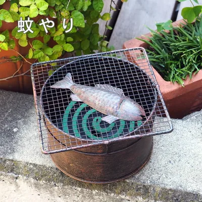 【あす楽】 蚊遣り グリルフィッシュモスキート 4793 村田屋産業 蚊やり 蚊取り線香入れ 蚊遣り器 蚊取り線香 立て おしゃれ 蚊取り線香ホルダー ブリキ 置物 オブジェ 庭 ベランダ 玄関 ガーデニング バーベキュー キャンプ インテリア 魚 かわいい