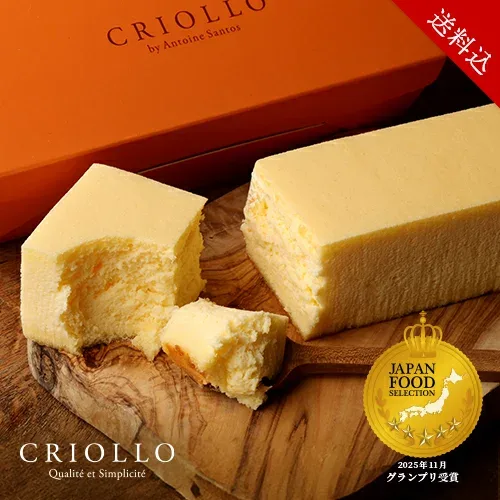 【送料込】幻のチーズケーキ【レクタ(長方形ケーキ)】【冷凍便】【朝9時までの注文・日時指定で当日出荷可】JFSグランプリ受賞