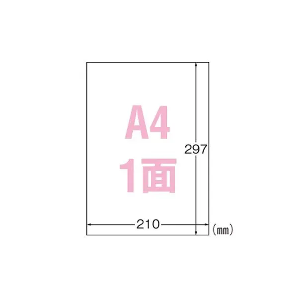 直送・代引不可 (まとめ) エーワン 屋外でも使えるサインラベルシール ツヤ消しフィルム・ホワイト 31031 10枚入 【×3セット】 別商品の同時注文不可