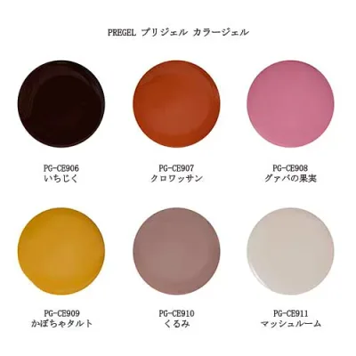 【最大3%OFF】 プリジェル カラージェル PREGEL カラーEX PG-CE906 PG-CE907 PG-CE908 PG-CE909 PG-CE910 PG-CE911 収穫祭シリーズ マット 3g ネイルカラー ネイリスト セルフネイル ジェルネイル ジェルカラー ソフトジェルタイプ ソークオフタイプ 新品 送料無料