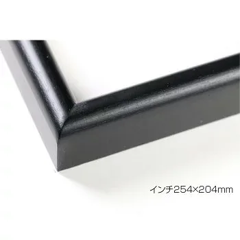 デッサン額 木製フレーム 桜カマボコ ブラック インチ254×204 アクリル