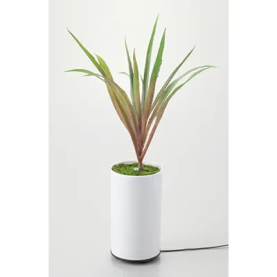 【返品OK!条件付】イシグロ グリーンディフューザー A 観葉植物型アロマ噴霧器 アロマディフューザー I-70090 加湿【KK9N0D18P】【80サイズ】