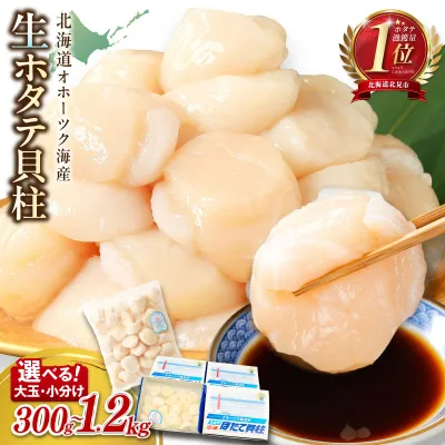 【ふるさと納税】総合1位 大粒 ホタテ 貝柱 300g〜1.2kg 生食用 玉冷 訳あり 不揃い ( ほたて 帆立 ホタテ貝柱 刺身 オホーツク 海鮮 冷凍 ギフト 発送時期が選べる 北海道 北見市 )
