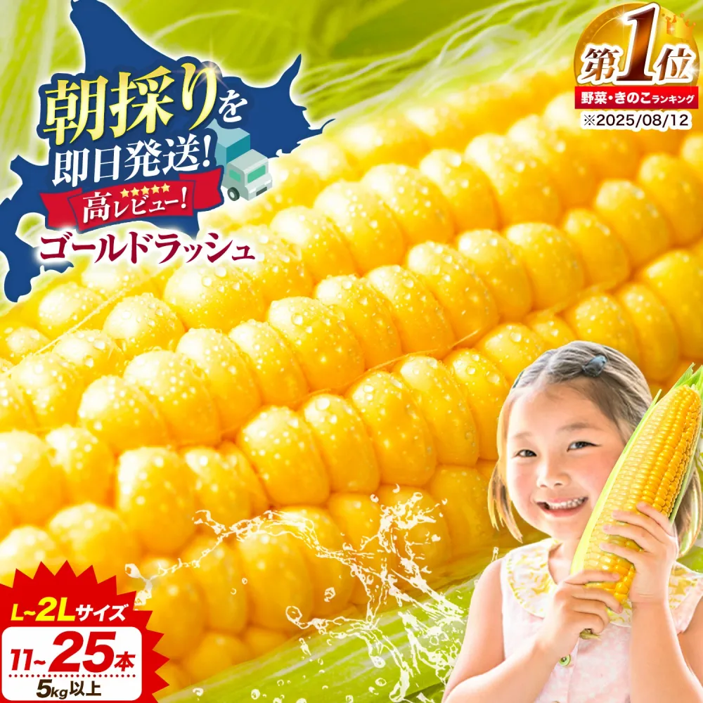 【ふるさと納税】 極甘 ゴールドラッシュ とうもろこし 選べる 5kg/8.5kg 北海道 名寄市産 朝採り 産地直送 生 で食べられる なよろ イエロー なよろ ホワイト コーンスープ 送料無料 おいしい 《8月上旬-9月中旬頃出荷》