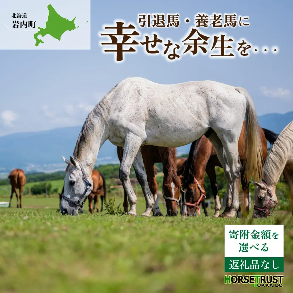 【ふるさと納税】【選べる寄附額】馬支援 競走馬 引退後 余生支援 養老馬 牧場 動物愛護 北海道 ホーストラスト北海道 支援 競馬 (返礼品なし) F21H-556var