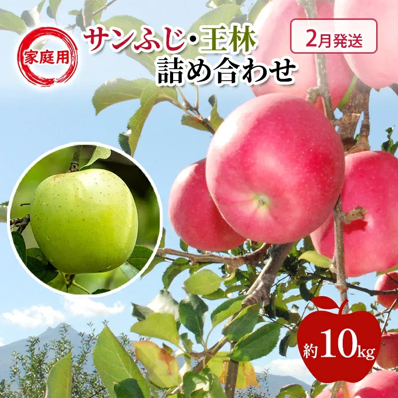 【ふるさと納税】りんご 【 2月発送 】 糖度13度~家庭用 サンふじ ・ 王林 詰め合わせ 約 10kg お届け:2027年2月1日~2027年2月28日