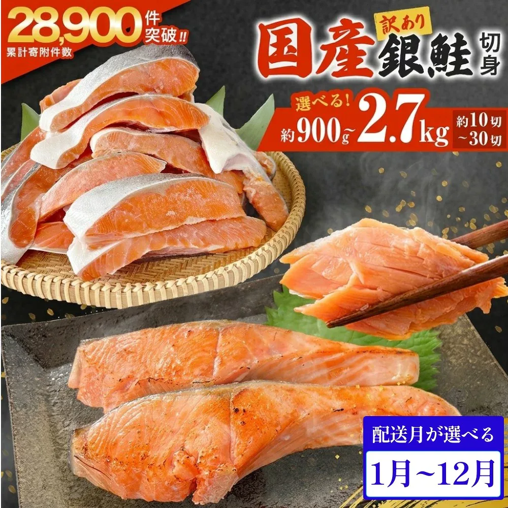 【ふるさと納税】訳あり 国産 銀鮭 切身 <内容量と配送月が選べる> 0.9kg 1.8kg 2.7kg 配送月指定 鮭 切り身 銀鮭 簡易梱包 冷凍 定塩加工 不揃い 厚切り 肉厚 家庭用 サーモン 塩鮭 しゃけ シャケ 焼き魚 魚介類 魚 さけ おかず 宮城県 石巻市 石巻 宮城 感謝