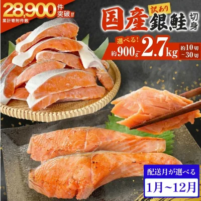【ふるさと納税】訳あり 国産 銀鮭 切身 <内容量と配送月が選べる> 0.9kg 1.8kg 2.7kg 配送月指定 鮭 切り身 銀鮭 簡易梱包 冷凍 定塩加工 不揃い 厚切り 肉厚 家庭用 サーモン 塩鮭 しゃけ シャケ 焼き魚 魚介類 魚 さけ おかず 宮城県 石巻市 石巻 宮城 感謝