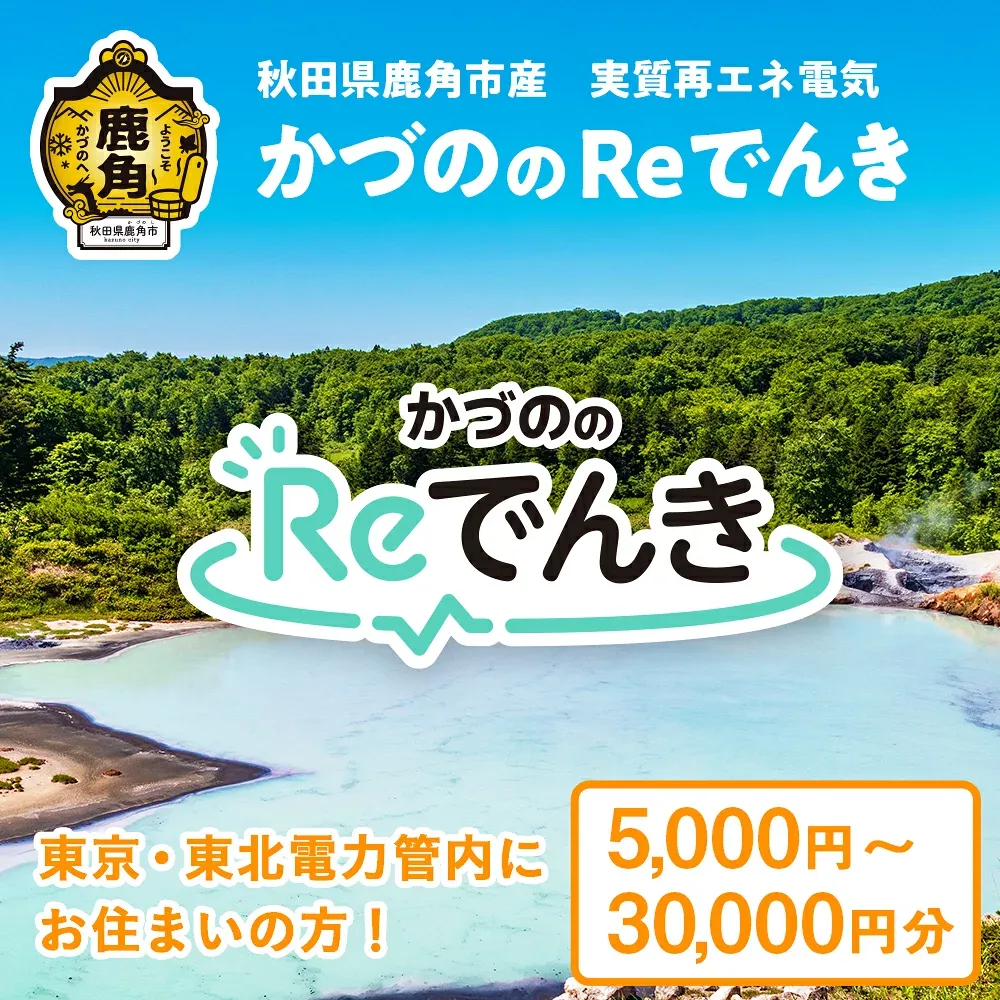 【ふるさと納税】《地域限定》かづののReでんき 5,000円〜30,000円分 秋田県 鹿角市産 電気 東京電力 / 東北電力 管内にお住まいの方限定 電力 料金 家計 東電 東北電 エコ 脱炭素 秋田 鹿角市 送料無料 【かづのパワー】