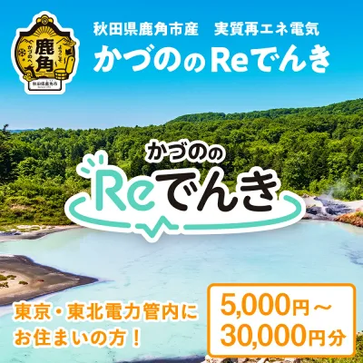 【ふるさと納税】《地域限定》かづののReでんき 5,000円〜30,000円分 秋田県 鹿角市産 電気 東京電力 / 東北電力 管内にお住まいの方限定 電力 料金 家計 東電 東北電 エコ 脱炭素 秋田 鹿角市 送料無料 【かづのパワー】
