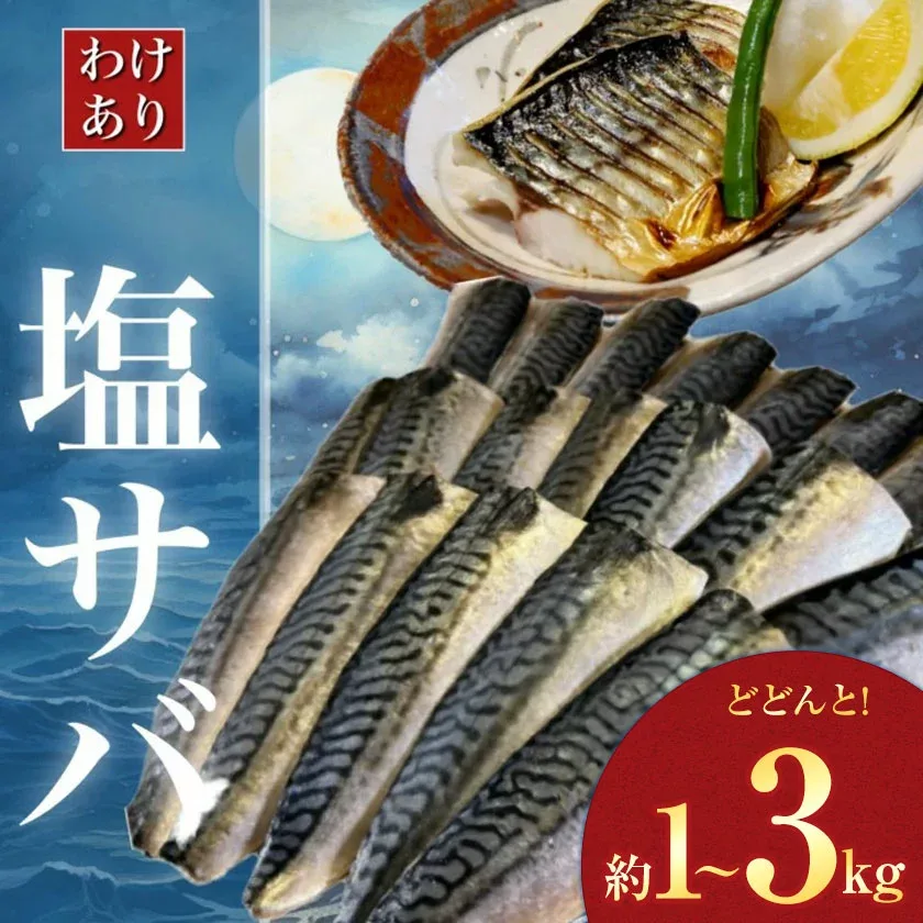 【ふるさと納税】【訳あり】 無添加 塩サバ 選べる 内容量 1kg 3kg 株式会社西川《3-7日以内に出荷予定(土日祝除く)》千葉県 勝浦市 塩サバ さば 切り身 魚 無添加 冷凍 訳あり 切身 大容量 規格外 贈り物 ギフト 海鮮 冷凍 食品【配送不可地域あり】(離島)
