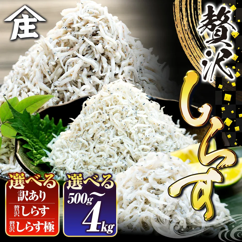 【ふるさと納税】 【最短翌日発送】 選べる 国産しらす 500g - 4kg 訳あり 贈答 ギフト 生しらす しらす干し 減塩 極み 山庄 ちりめん 規格外 しらす 魚 海鮮 魚介類 魚貝 規格外 健康 ダイエット 人気 ランキング 5000円 美味しい 夕食 惣菜 コメに合う 米 南知多 愛知県