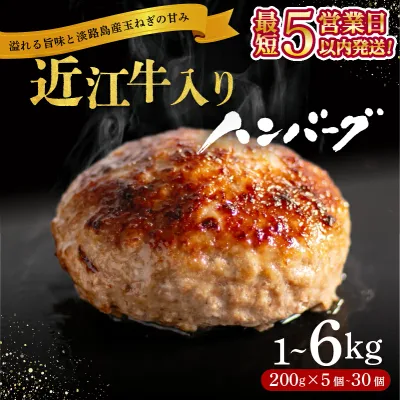 【ふるさと納税】 \総合1位獲得/ 近江牛 入り ハンバーグ 6kg 3kg 2kg 1kg 淡路島産 玉ねぎ 近江牛 使用 合挽き 近江牛 200g/30個15個10個5個 選べる容量 個包装 和牛 牛肉 冷凍 黒毛和牛 豚肉 ポーク ランキング 日本三大和牛 滋賀県 竜王町