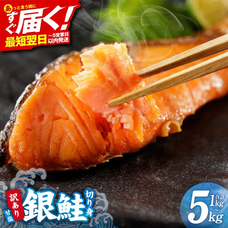 【ふるさと納税】総合1位 銀鮭 人気 訳あり 切り身 甘塩 選べる 定番 / 厚切り 1kg~5kg サイズ 不揃い 規格外 バター焼き 海鮮 魚介 鮭 朝食 お弁当 おかず バラ凍結 冷凍 ストック 簡単調理 発送月 定期便 まとめ買い 最短翌日発送 大阪府 泉佐野市 送料無料