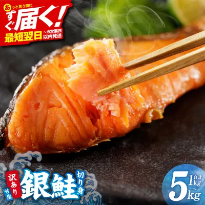 【ふるさと納税】総合1位 銀鮭 人気 訳あり 切り身 甘塩 選べる 定番 / 厚切り 1kg~5kg サイズ 不揃い 規格外 バター焼き 海鮮 魚介 鮭 朝食 お弁当 おかず バラ凍結 冷凍 ストック 簡単調理 発送月 定期便 まとめ買い 最短翌日発送 大阪府 泉佐野市 送料無料