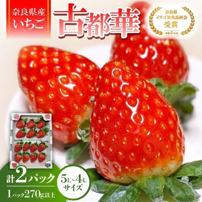 【ふるさと納税】【2027年1月以降発送】《希少品》奈良県産いちご「古都華」大粒(5L~4Lサイズ )2パック【配送不可地域:離島】【1556701】