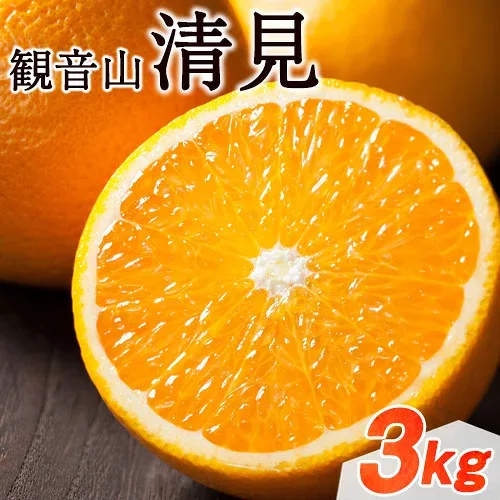 【ふるさと納税】観音山清見 3kg (約15玉-21玉前後) 有限会社柑香園《2027年3月中旬-4月中旬頃出荷》和歌山県 紀の川市 フルーツ 果物 柑橘 みかん オレンジ
