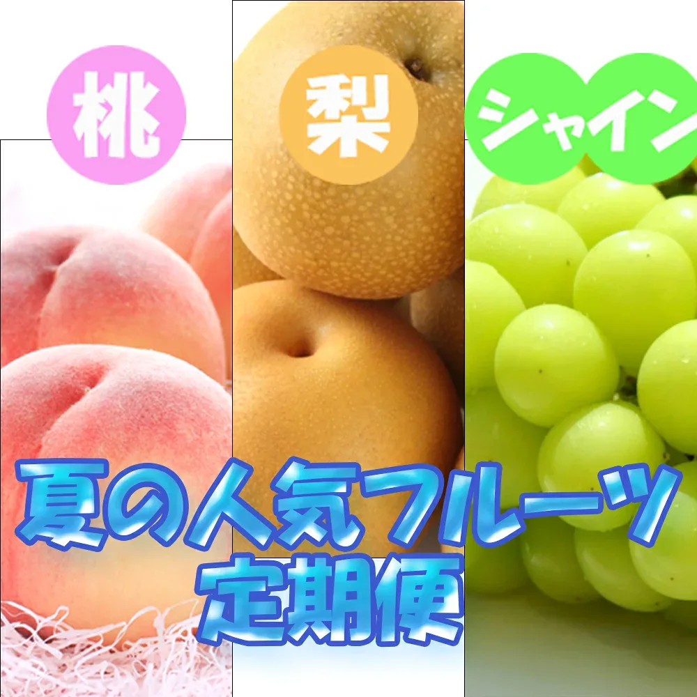 【ふるさと納税】 定期便 全3回 【7月・8月・9月発送】 和歌山の夏の人気フルーツをお届け(桃・梨・シャイン) ※北海道・沖縄・離島への配送不可