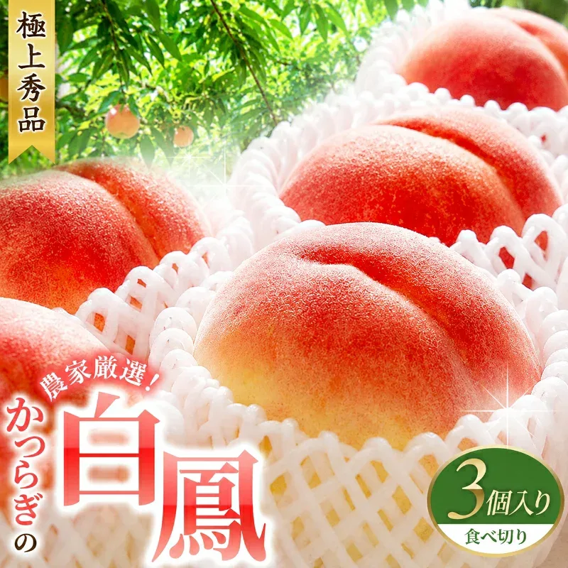 【ふるさと納税】 先行販売!【モモ】 白鳳 桃の王様!食べきりやすい3個入り 【秀品】こだわり農家厳選 / もも フルーツ 果物 くだもの 食品 人気 おすすめ 送料無料 ※2027年6月末頃~7月末頃に順次発送予定(お届け日指定不可) ※離島への配送不可 //best
