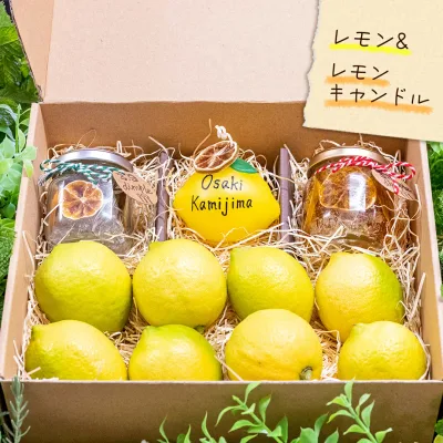 【ふるさと納税】【 先行予約 】 贈り物に 甘く香る レモンドキャンドル3個 & 生果レモン約1kg ギフトセット 1月~2月末発送予定 ワックス不使用 防腐剤不使用 国産 岩崎農園 広島県 大崎上島町 檸檬 お取り寄せ
