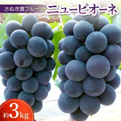 【ふるさと納税】さぬき讃フルーツ「ニューピオーネ」約3kg 【令和9年8~9月発送】【配送不可地域:離島】【1609809】