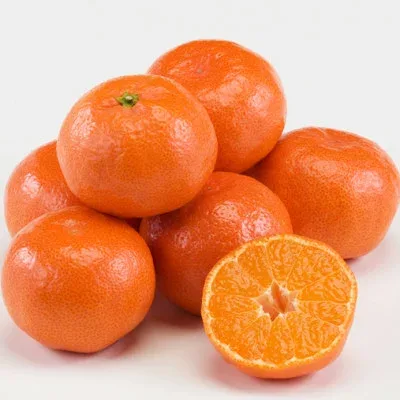 【ふるさと納税】さぬき讃フルーツ「ハウス小原紅早生みかん(さぬき紅)」約2kg【令和9年6~8月発送】【配送不可地域:離島】【1609816】