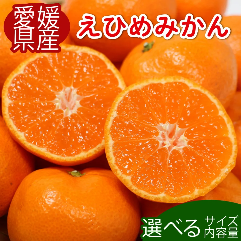 【ふるさと納税】 【先行予約】 高評価 ★ 4.2 先行受付 愛媛みかん 選べる内容量 柑橘 みかん 果物 フルーツ 旬 ふるさと納税柑橘 ふるさと納税みかん サイズ不揃い 柑橘 フルーツ ふるさと納税訳あり 傷 不揃い 愛媛県 愛南町 清家ばんかんビレッジ