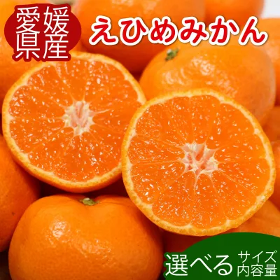 【ふるさと納税】 【先行予約】 高評価 ★ 4.2 先行受付 愛媛みかん 選べる内容量 柑橘 みかん 果物 フルーツ 旬 ふるさと納税柑橘 ふるさと納税みかん サイズ不揃い 柑橘 フルーツ ふるさと納税訳あり 傷 不揃い 愛媛県 愛南町 清家ばんかんビレッジ
