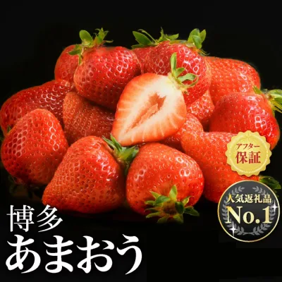 【ふるさと納税】人気1位獲得謝礼品★限定品★博多あまおう約540g~1,080g いちご 苺 福岡(先行受付/2027年2月以降発送) 高級 フルーツ【あまおう】