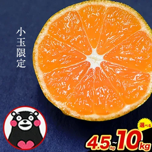 【ふるさと納税】先行予約 訳あり みかん 小玉 ひとくちもぎたてみかん 約 4.5kg 約 7kg 約 10kg 《9月下旬-12月下旬頃出荷》 S-3Sサイズ 訳あり ご家庭用 熊本県産 期間限定 フルーツ 果物 旬 みかん