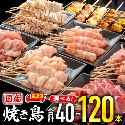 【ふるさと納税】バラ凍結が便利!【包装内容・内容量・定期便が選べる】若鶏の焼き鳥セット盛り合わせ 60本 90本 120本 国産 焼き鳥 焼き鳥セット 焼き鳥串 串焼き 鶏肉 肉 お肉 鶏 若鶏 冷凍 小分け パック セット 詰め合わせ 食べ比べ 便利 ストック 保存 宮崎 ふるさと