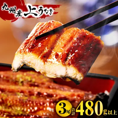 【ふるさと納税】九州産うなぎ蒲焼3尾 計480g以上 国産 上うなぎ うなぎ 惣菜 お惣菜 3尾 小分け パック 冷凍 おかず 贈り物 お祝い 内祝い 記念日 冬うなぎ うなぎ蒲焼き うなぎの蒲焼き 蒲焼き 人気 おすすめ 鰻楽 宮崎 宮崎県 宮崎市
