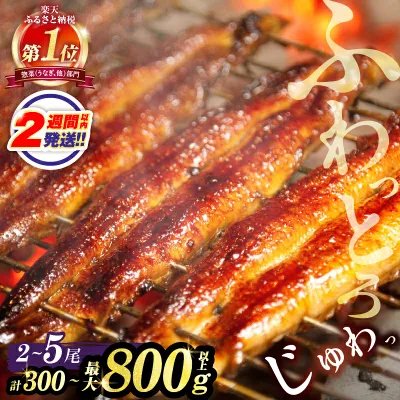 【ふるさと納税】総合1位獲得!【楽天限定】≪選べる!!内容量・発送時期・定期便≫ うなぎ 蒲焼 2尾 300g 380g or3尾 600g or 5尾 800g 丑の日 定期便 国産 宮崎 鰻 うな重 うなぎ長焼 ひつまぶし 蒲焼き 小分け 真空パック 鰻楽 ギフト 贈り物 都農町