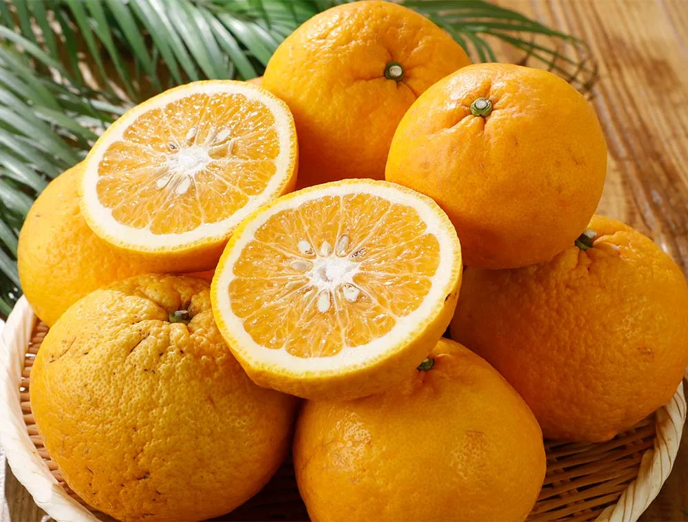 Reservation for May 2027 Reason available Summer King from Ehime Approximately 4kg to 8kg Reduced pesticides Mixed sizes Amanatsu Amanatsu Hassaku Hassaku Amanatsu Mikan Amanatsukan SU *Not hometown tax