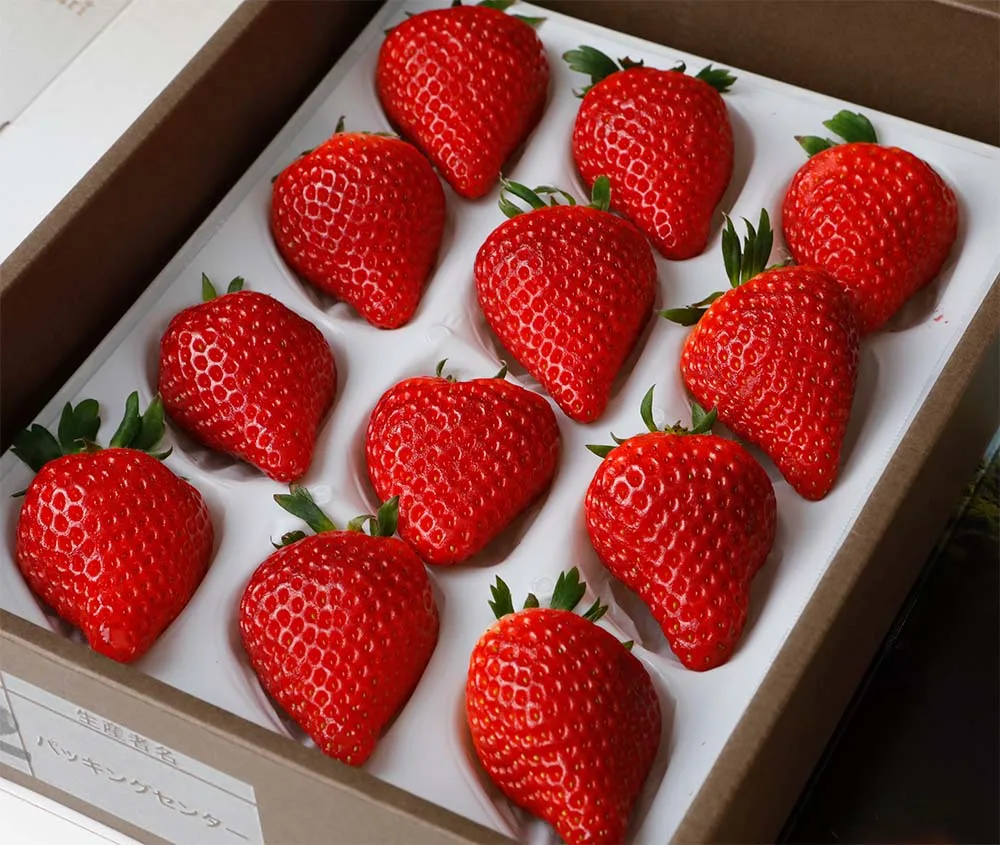 Reservation for 2027 Gifu Strawberry Hanakagari Approx. 400g Cosmetic Box Strawberry Strawberry S10 *This is not a hometown tax payment.