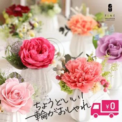 プリザーブドフラワー 敬老の日 ギフト 花 女性 誕生日 お誕生日 プレゼント プリモ 誕生日プレゼント 祖母 結婚祝い発表会 誕生日祝い ペット 退職祝い 送別祝い