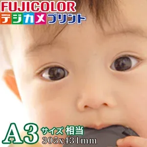 A3サイズ 相当 フジカラープリント 431mm × 305mm スマホ デジカメプリント 写真 ネットプリント 写真注文 写真現像 銀塩写真 印刷 スマホ ウエルカムボード用等 A3サイズ相当