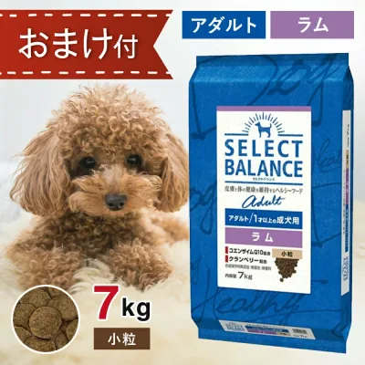 【要エントリー抽選で最大100%ポイントバック!】 セレクトバランス アダルト ラム 小粒 7kg ペットフード おやつ & おまけ 付き ドッグフード 餌 エサ 犬 1歳以上 成犬 低脂肪 低カロリー 皮膚 被毛 関節 健康 免疫力 腸内環境 無添加 無着色 7キロ
